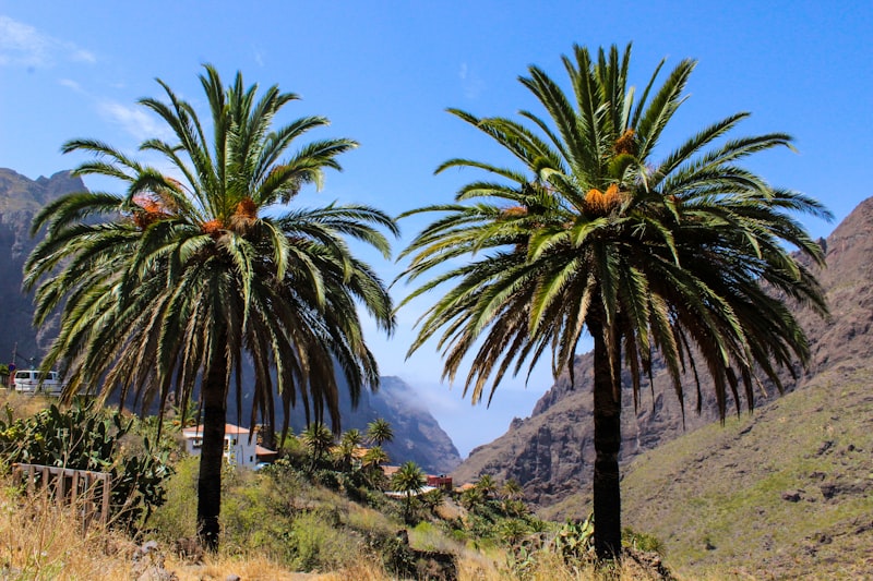 Masca, Tenerife's most beautiful village