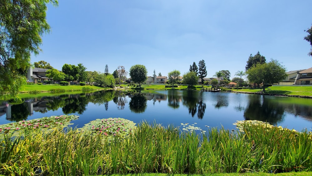 green grass field near lake under blue sky during daytime