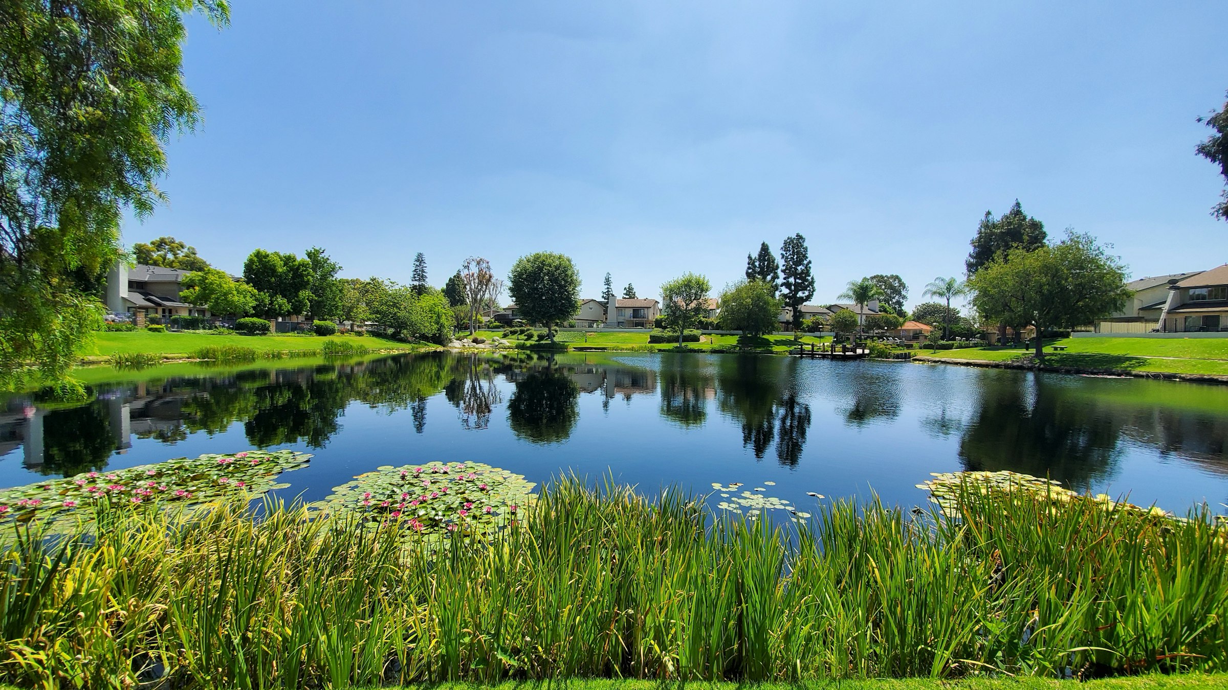 Anaheim community, California