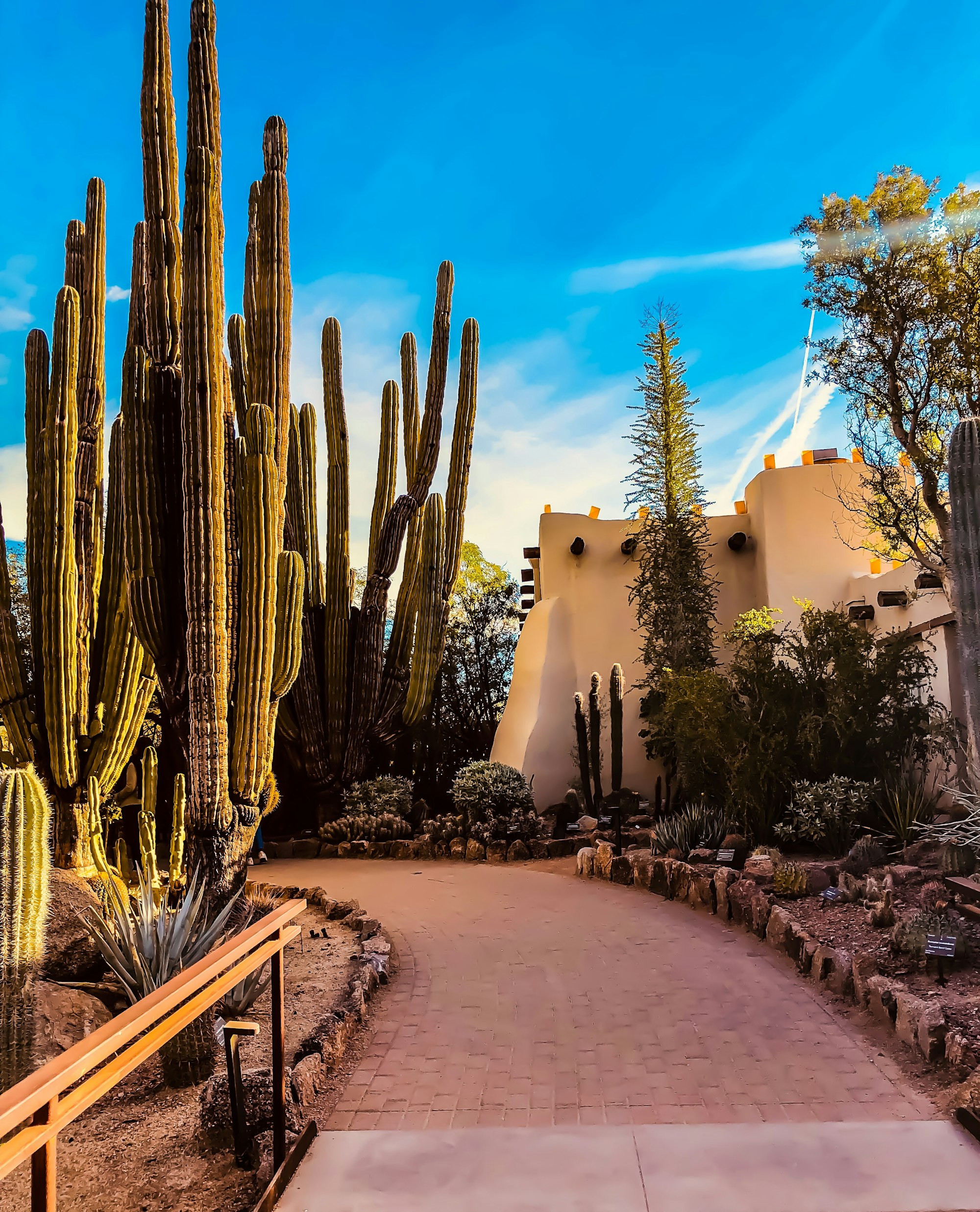 Exploring Phoenix's Authentic Cuisine and Culinary Heritage