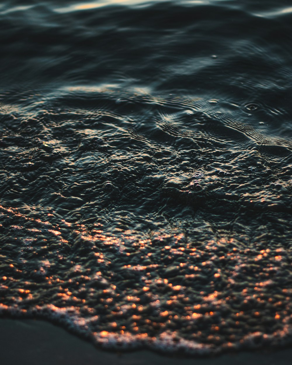 water droplets on brown soil