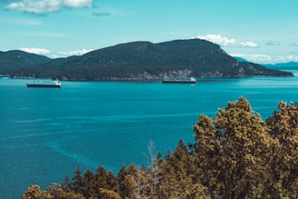 white boat on blue sea near green trees during daytime
