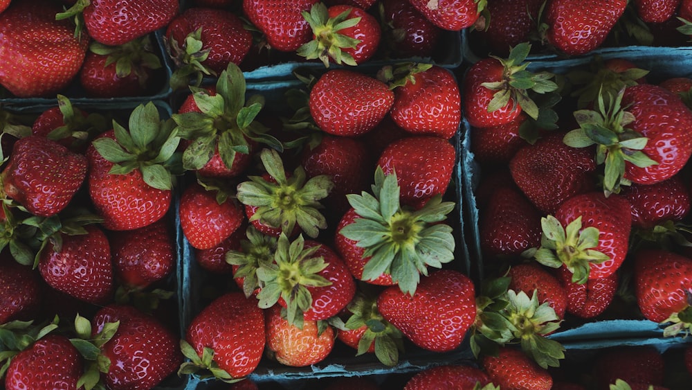 Fresas en recipiente de plástico transparente