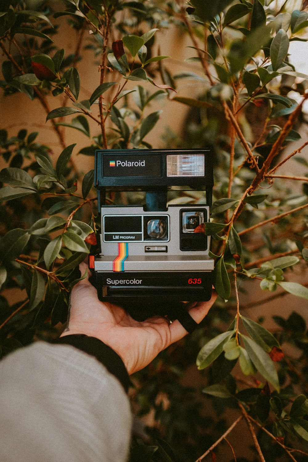 black polaroid camera on green leaves