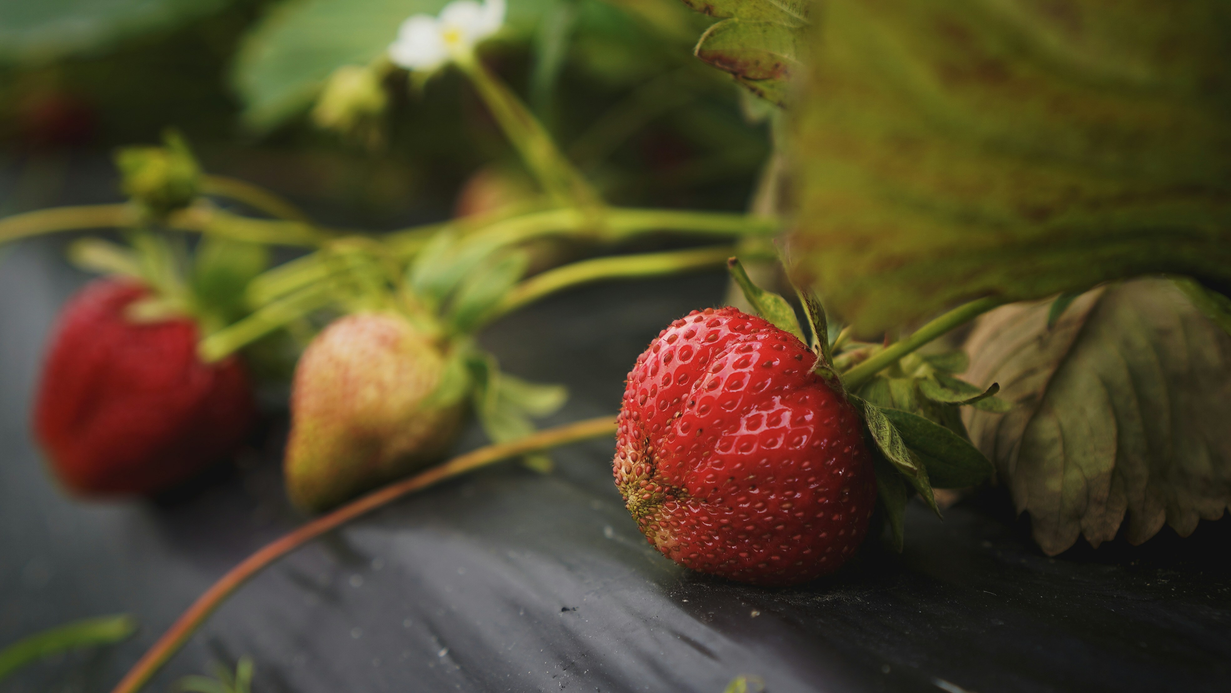 Photo by minimdesignco