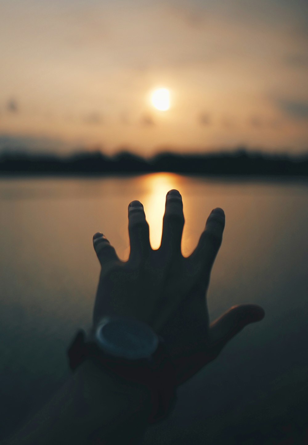 persons hand near body of water during sunset