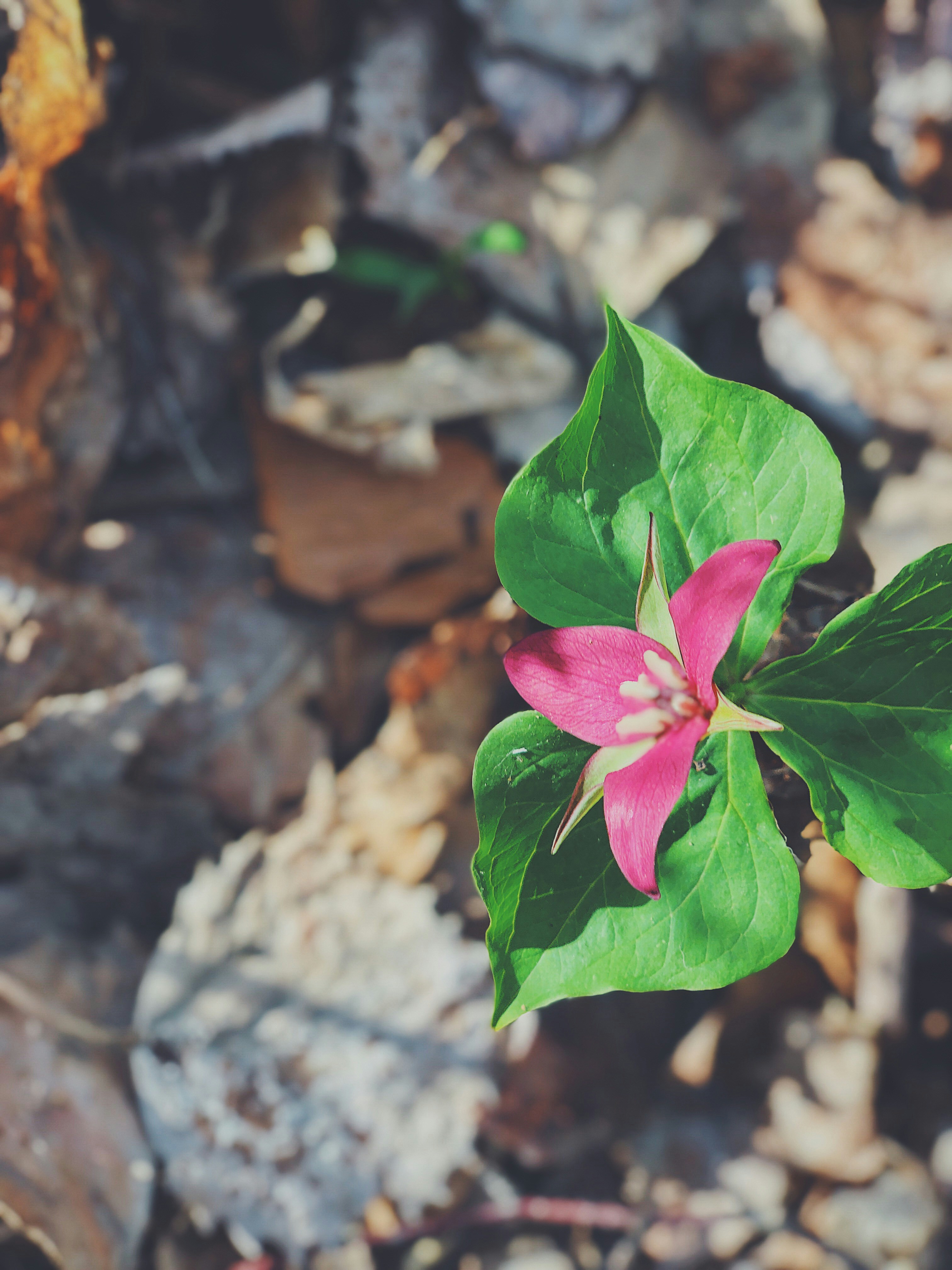 photo 1590713653655 1282046c519c?ixlib=rb 4.0