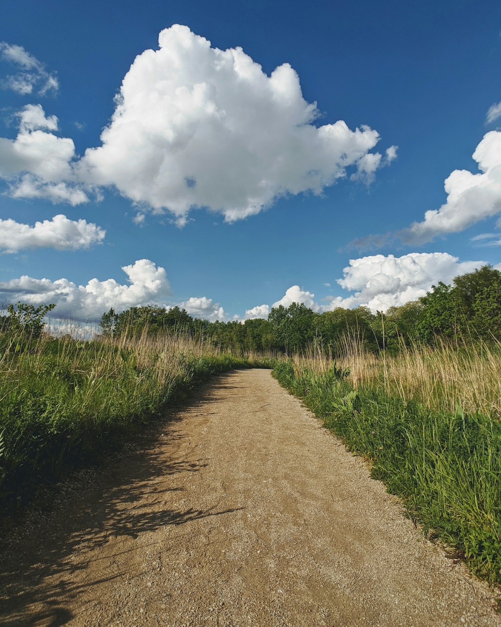 green grass field under blue sky and white clouds during daytime