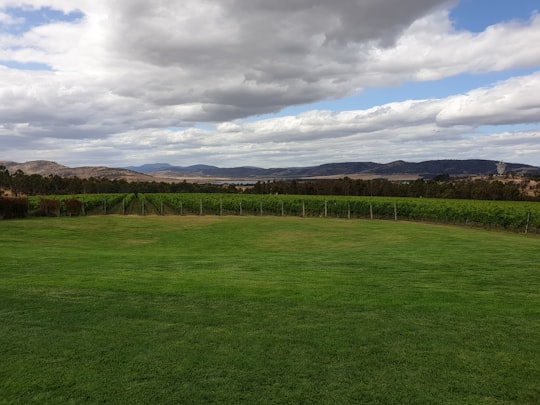 green grass field under cloudy sky during daytime in Cambridge TAS Australia