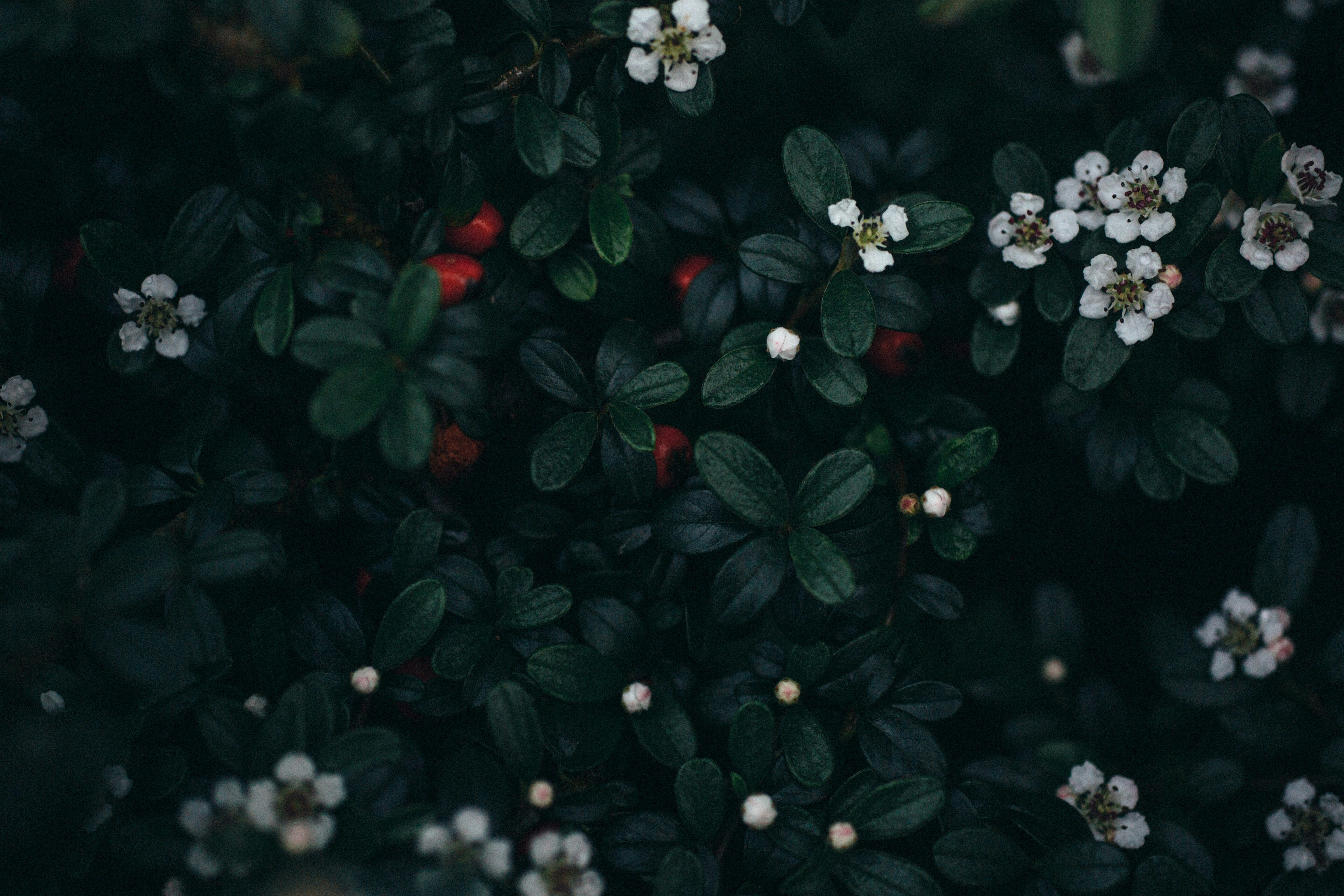 Photo by natureuninterrupted1