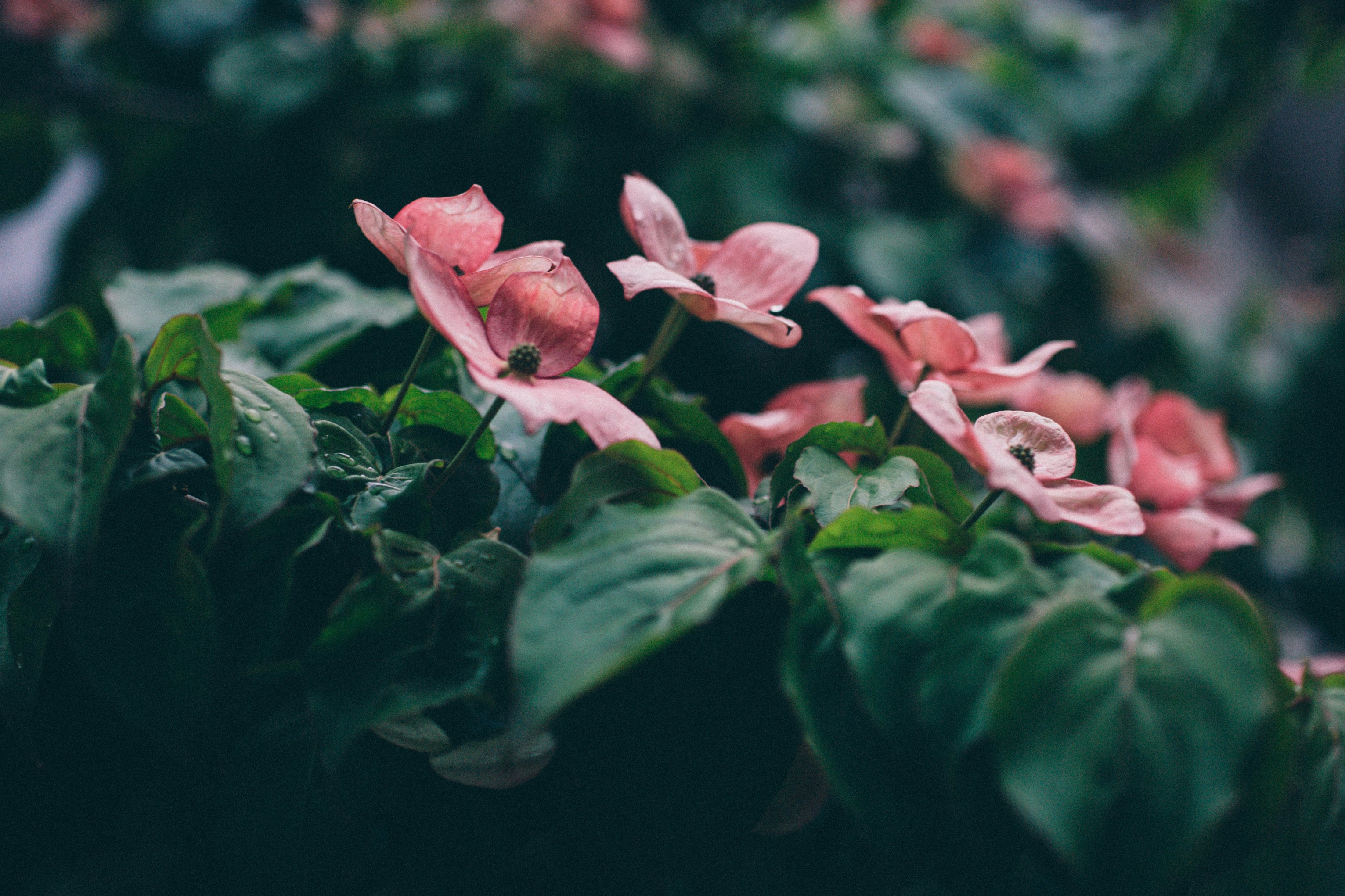 Photo by natureuninterrupted1