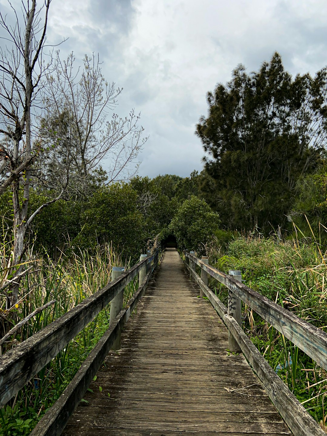 Nature reserve photo spot Riverwood NSW New South Wales