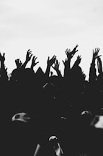 silhouette of people raising their hands
