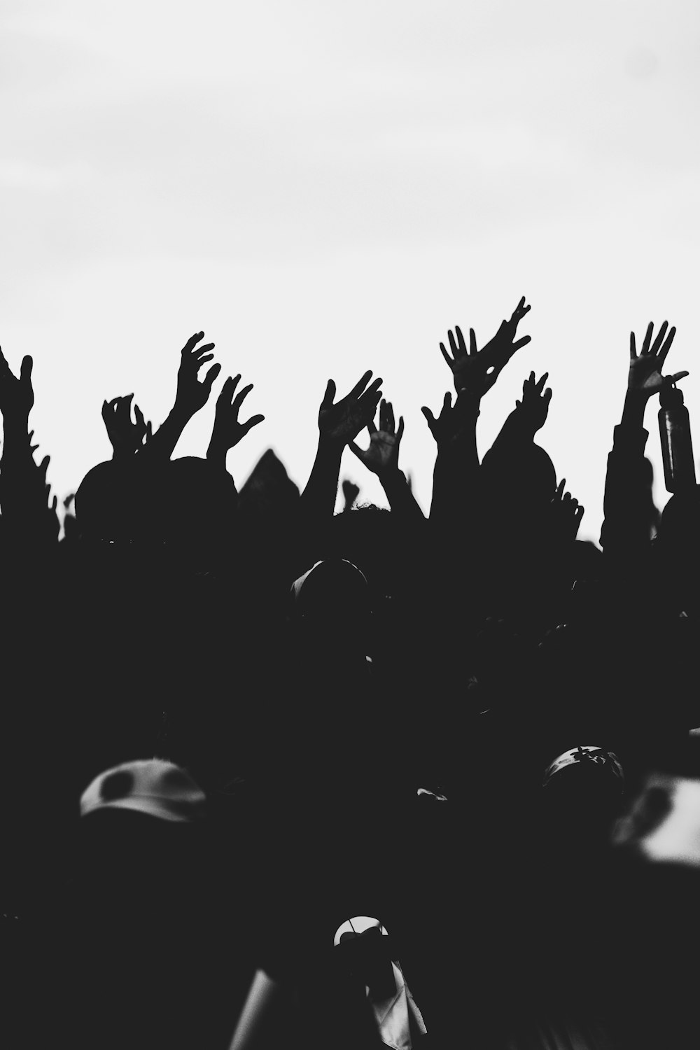 silhouette of people raising their hands