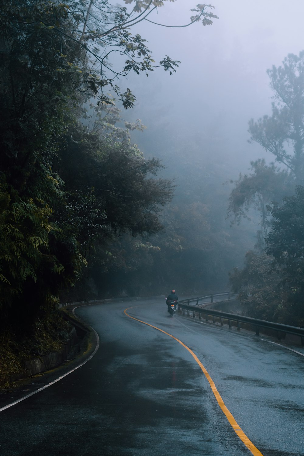 black car on road between trees during foggy weather