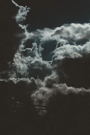 Moody artwork depicting a werewolf under a full moon, hinting at the upcoming novel The Moonlight.