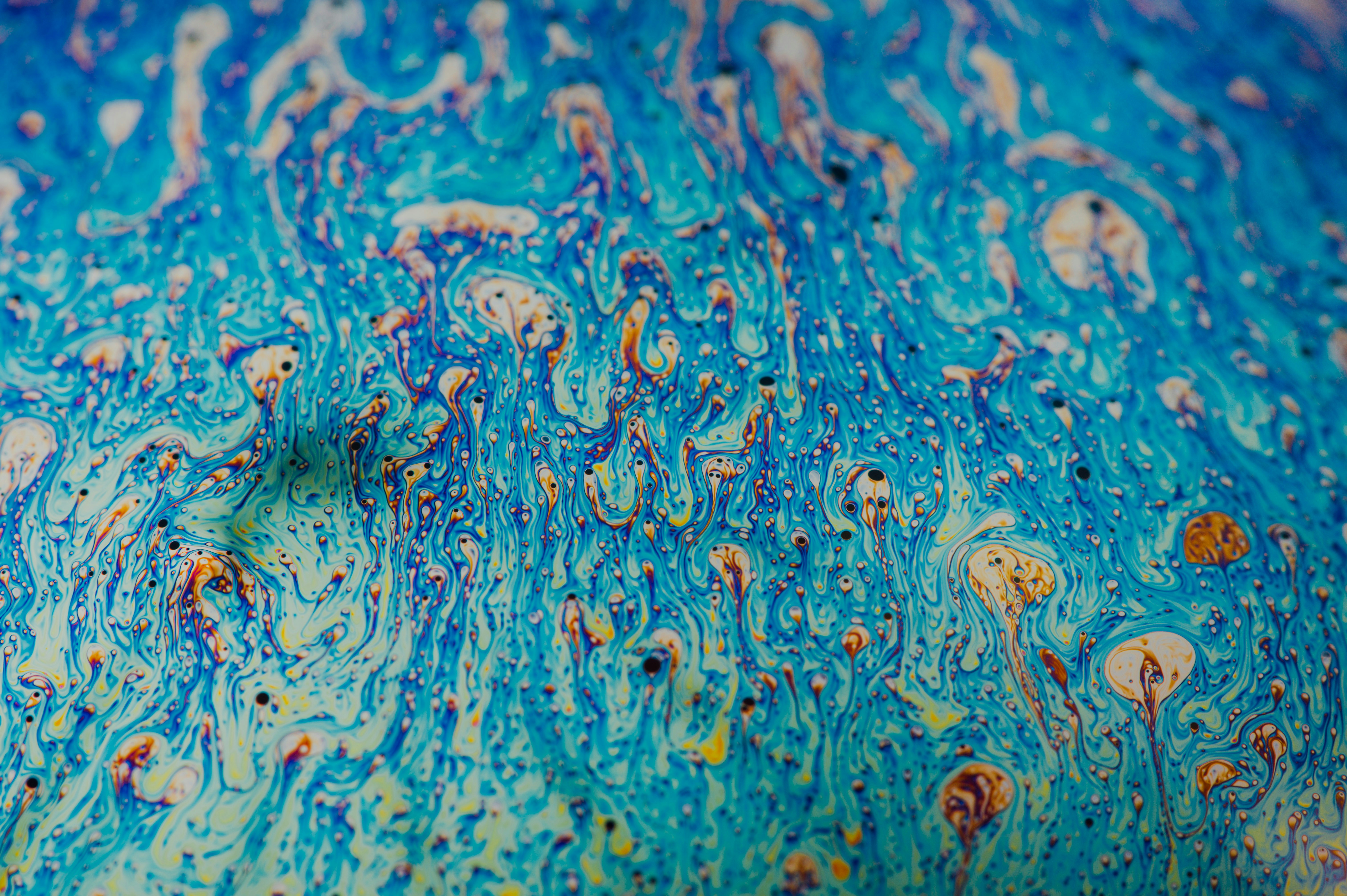 Photo by chuttersnap