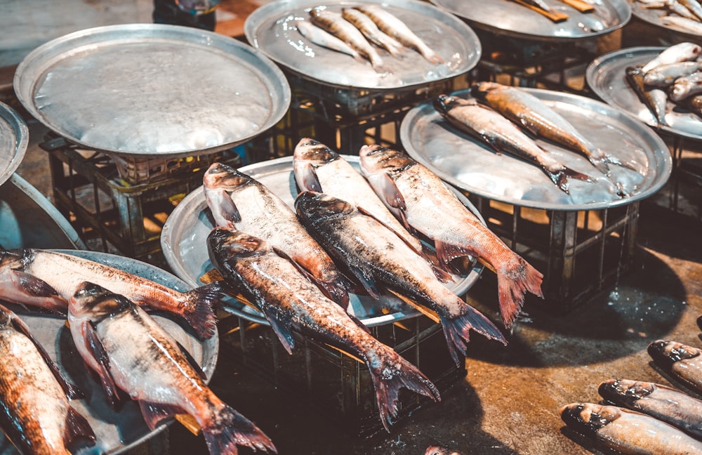 fish on stainless steel round tray