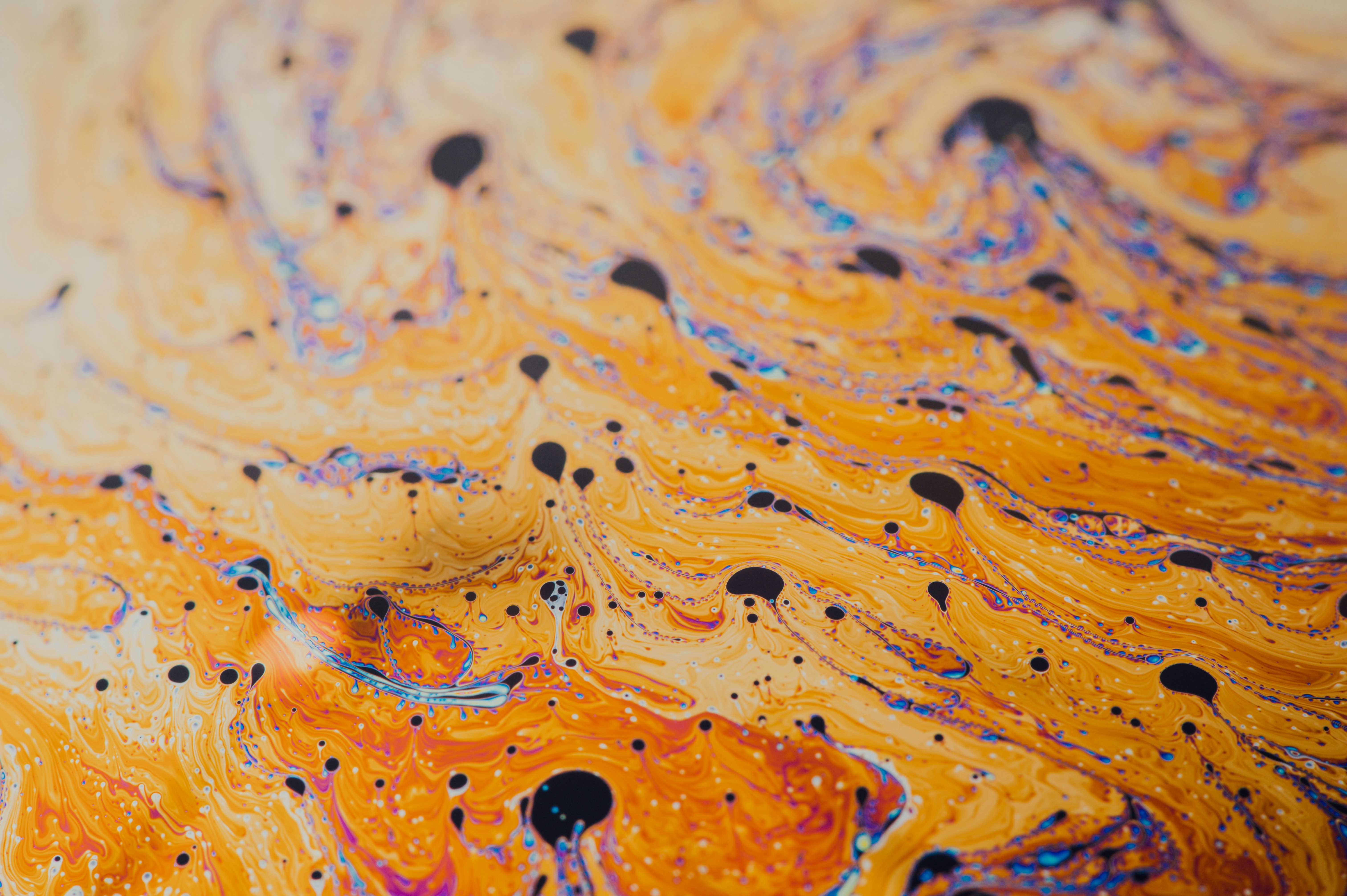 Photo by chuttersnap