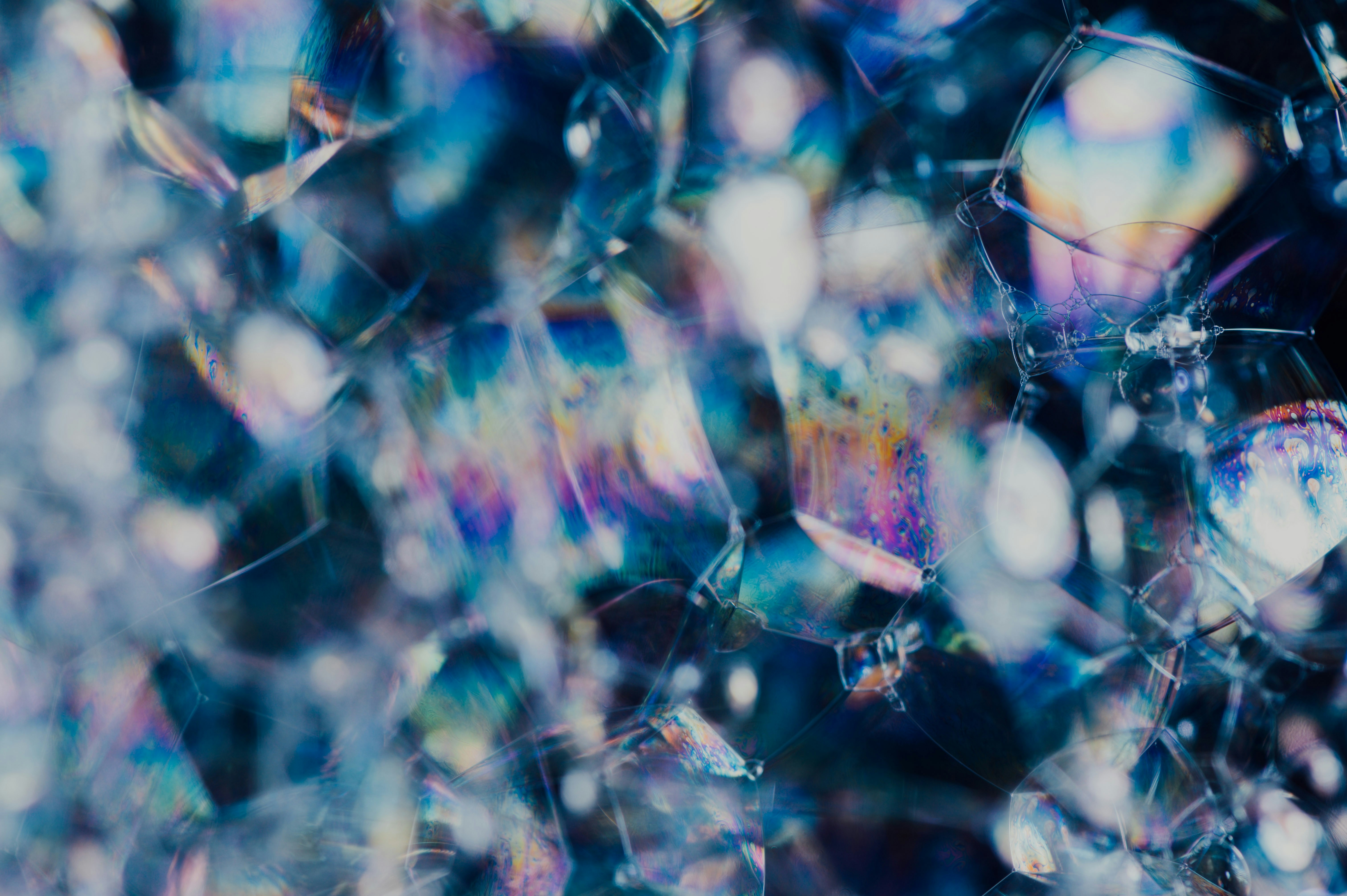 Photo by chuttersnap