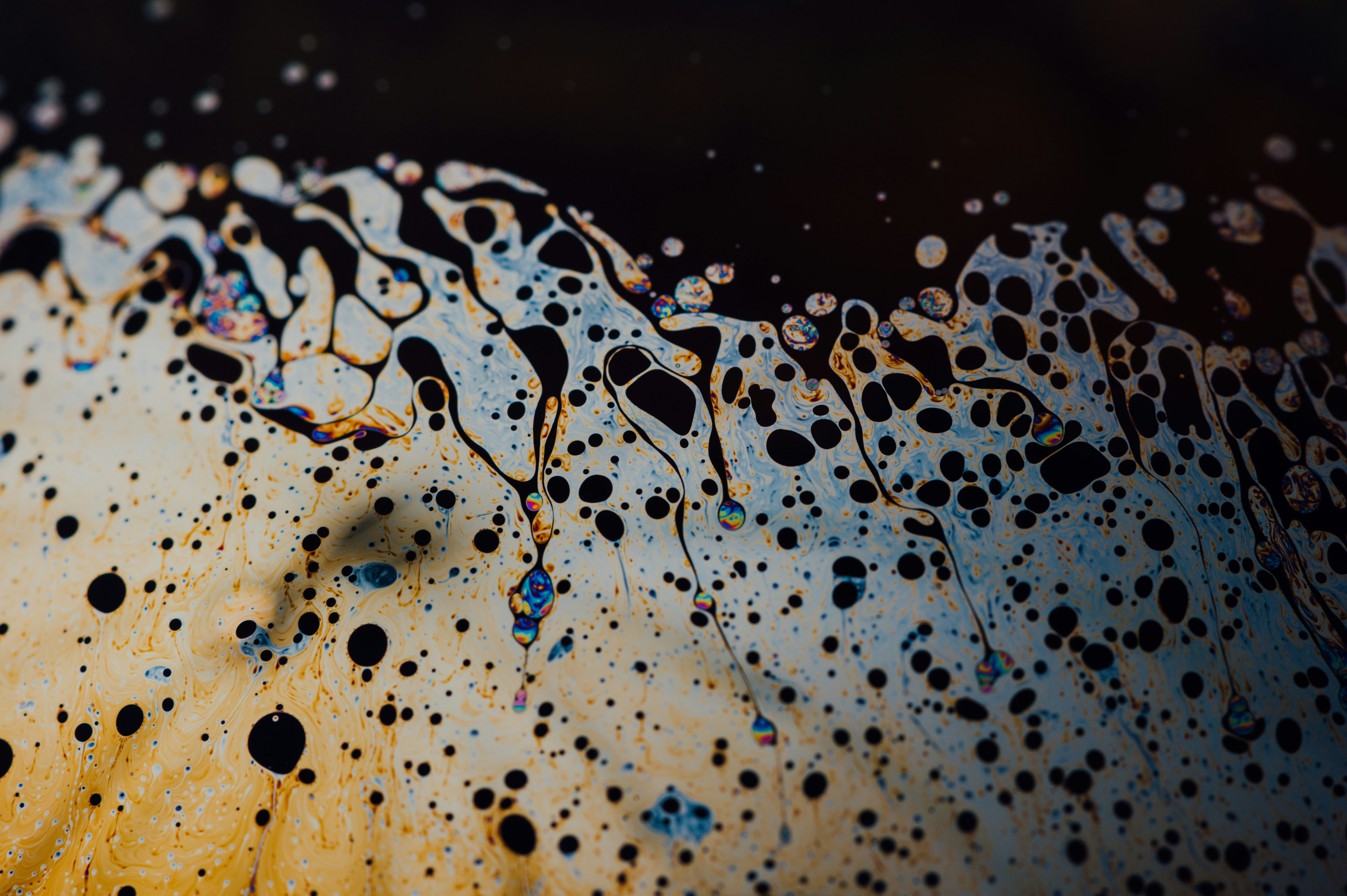 Photo by chuttersnap