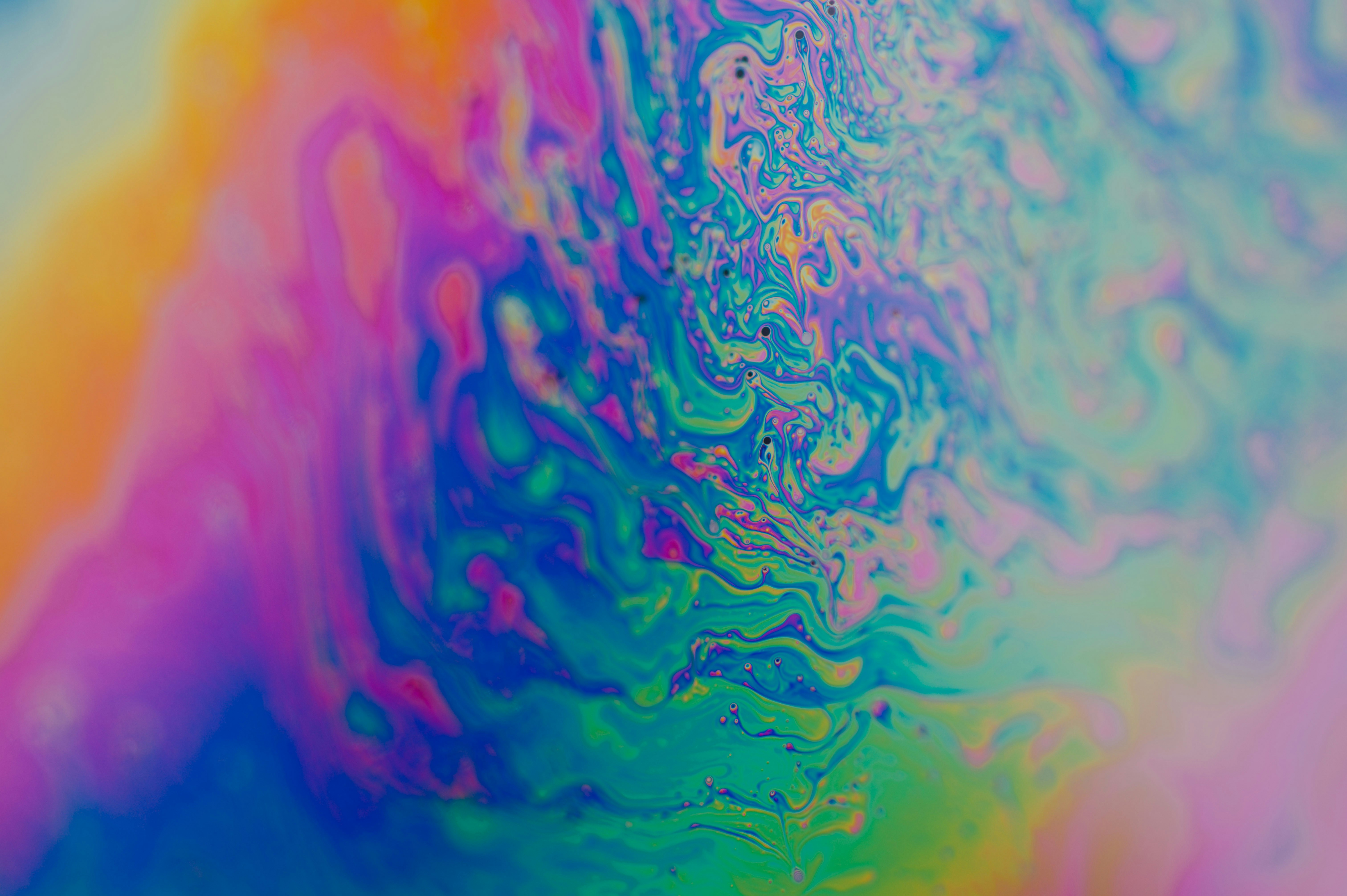 Photo by chuttersnap