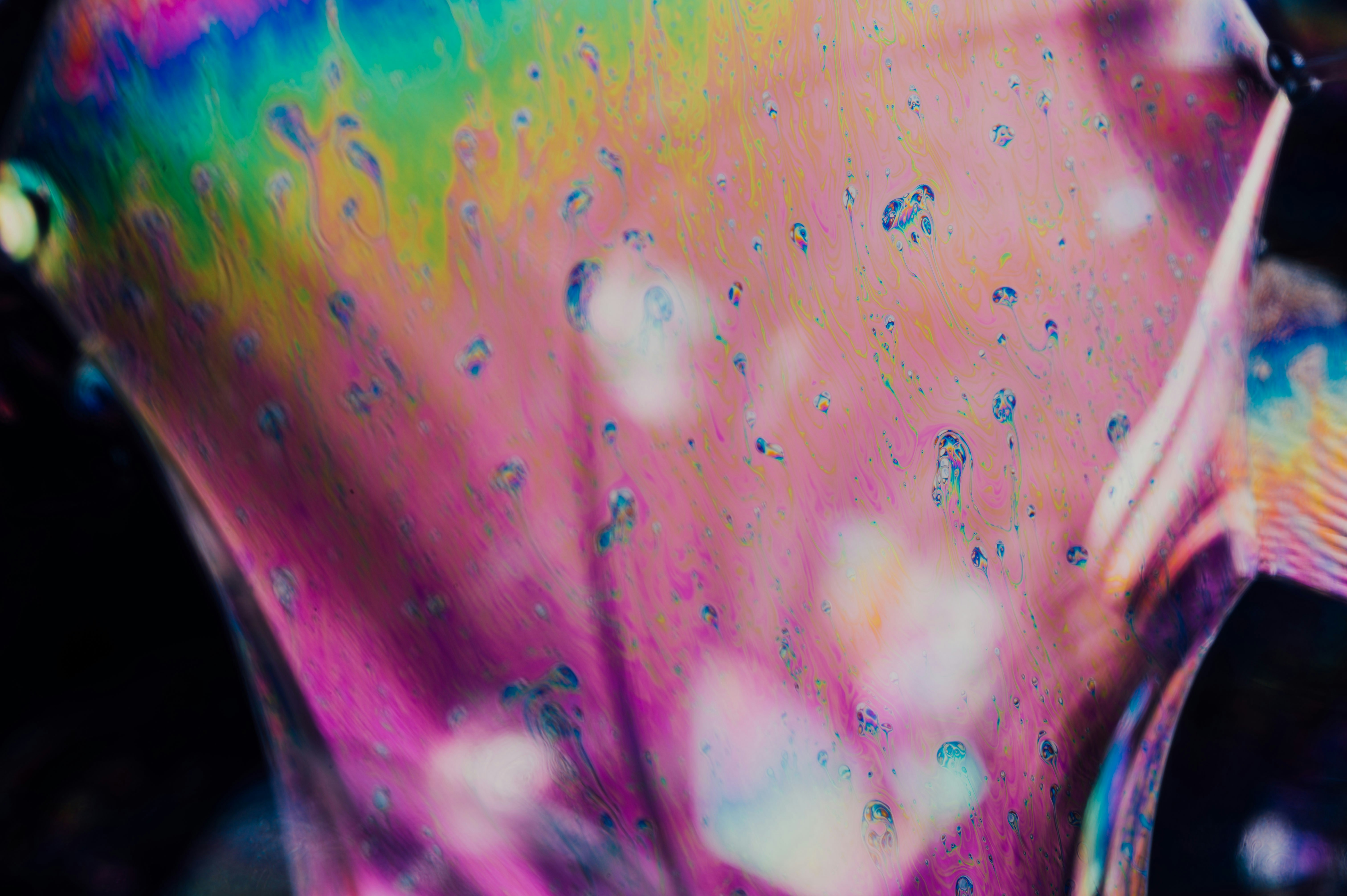 Photo by chuttersnap