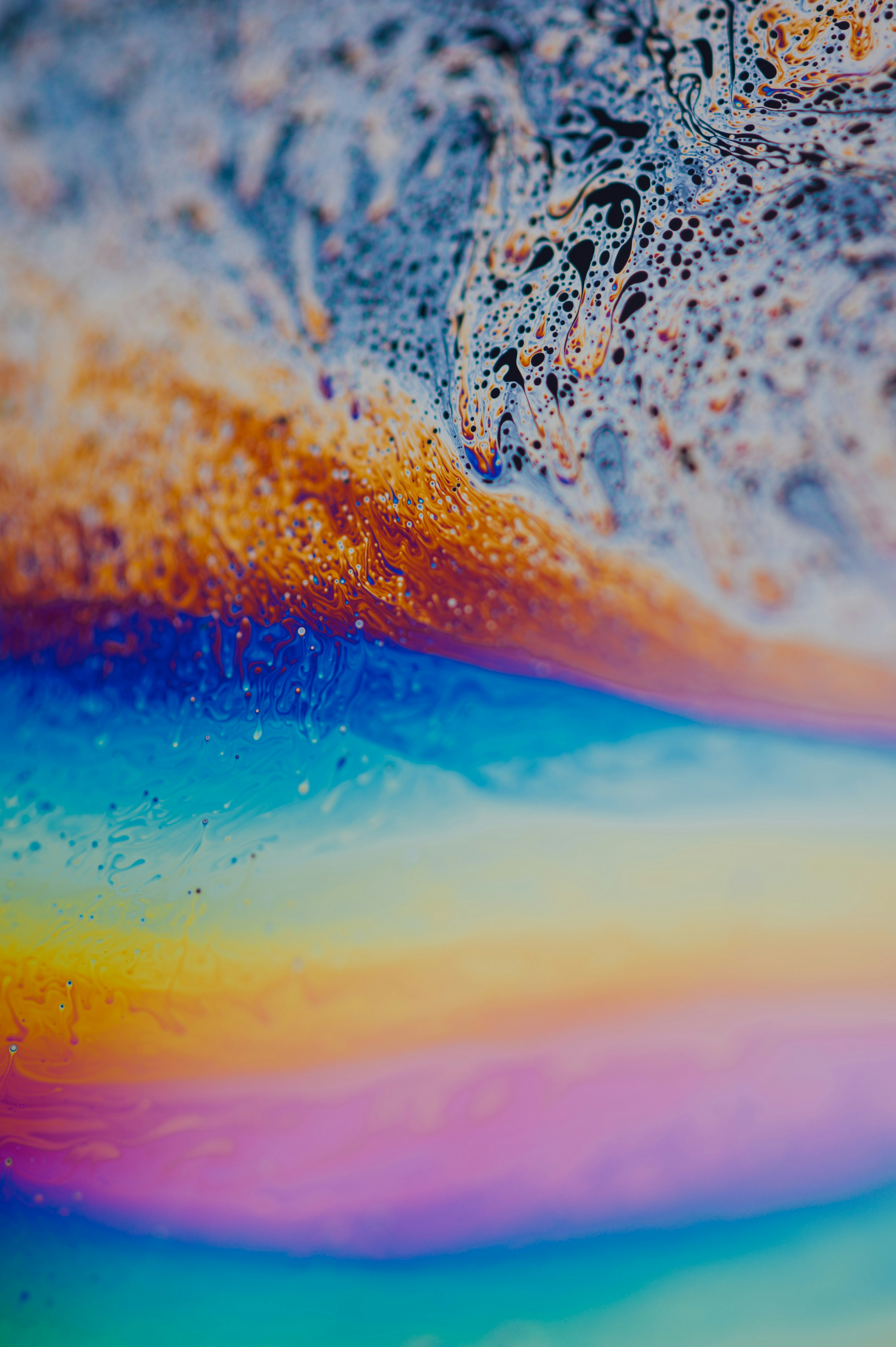 Photo by chuttersnap