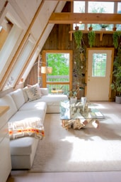 white couch beside green potted plant