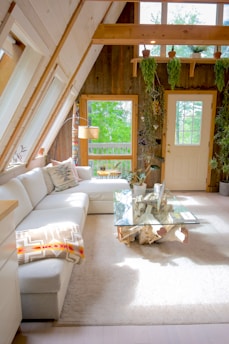 white couch beside green potted plant