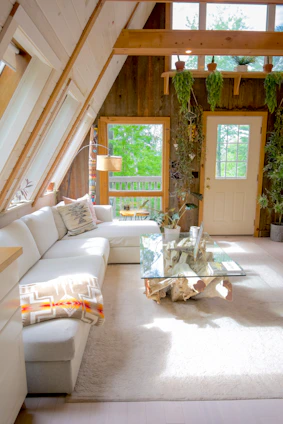 white couch beside green potted plant