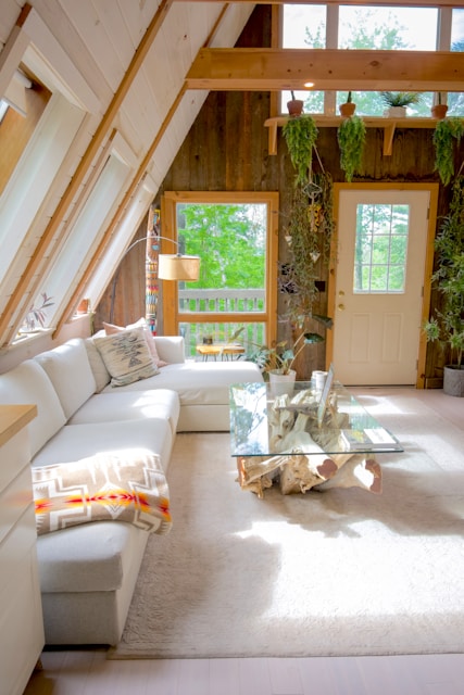 white couch beside green potted plant