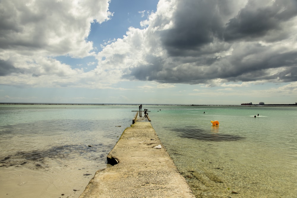 people on beach during daytime