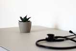 A healthy lifestyle concept with a stethoscope, coins, and a small plant on a wooden desk.