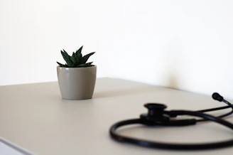 Still life image featuring a potus plant, fresh whole foods, and a bioimpedance device on a clean white and lavender background.