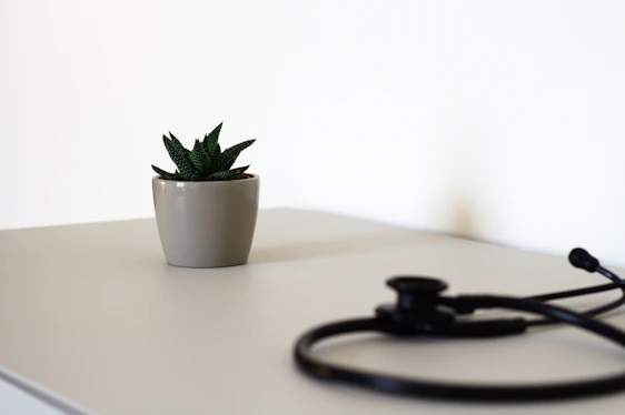 Still life image featuring a potus plant, fresh whole foods, and a bioimpedance device on a clean white and lavender background.