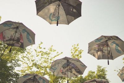 low angle photography of umbrella umbrellas under white sky during daytime south korea google meet background
