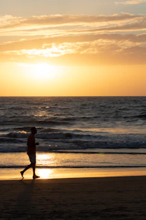 A silhouette walking beside a shadow under a golden sunset.