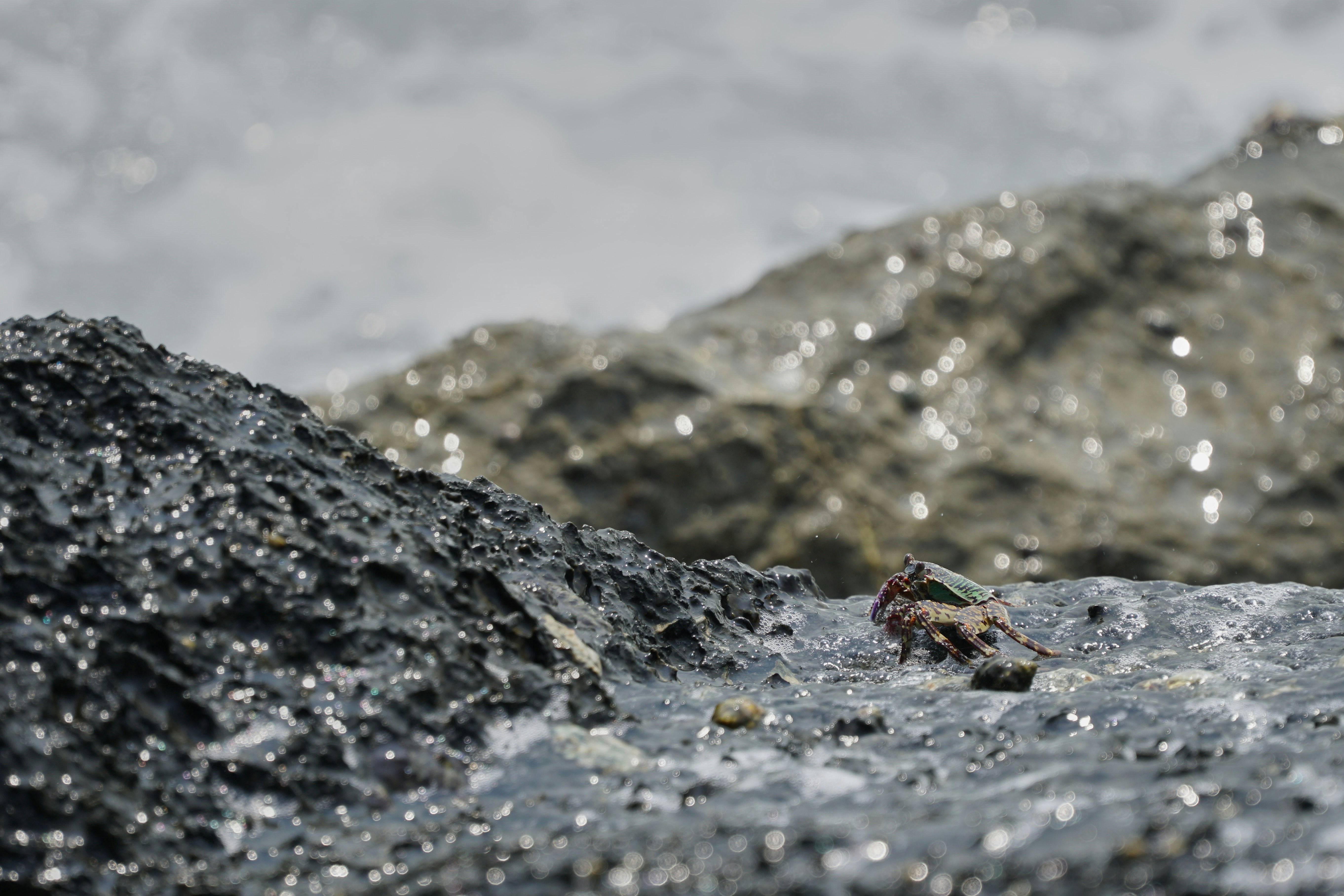 Photo by wolfgang_hasselmann