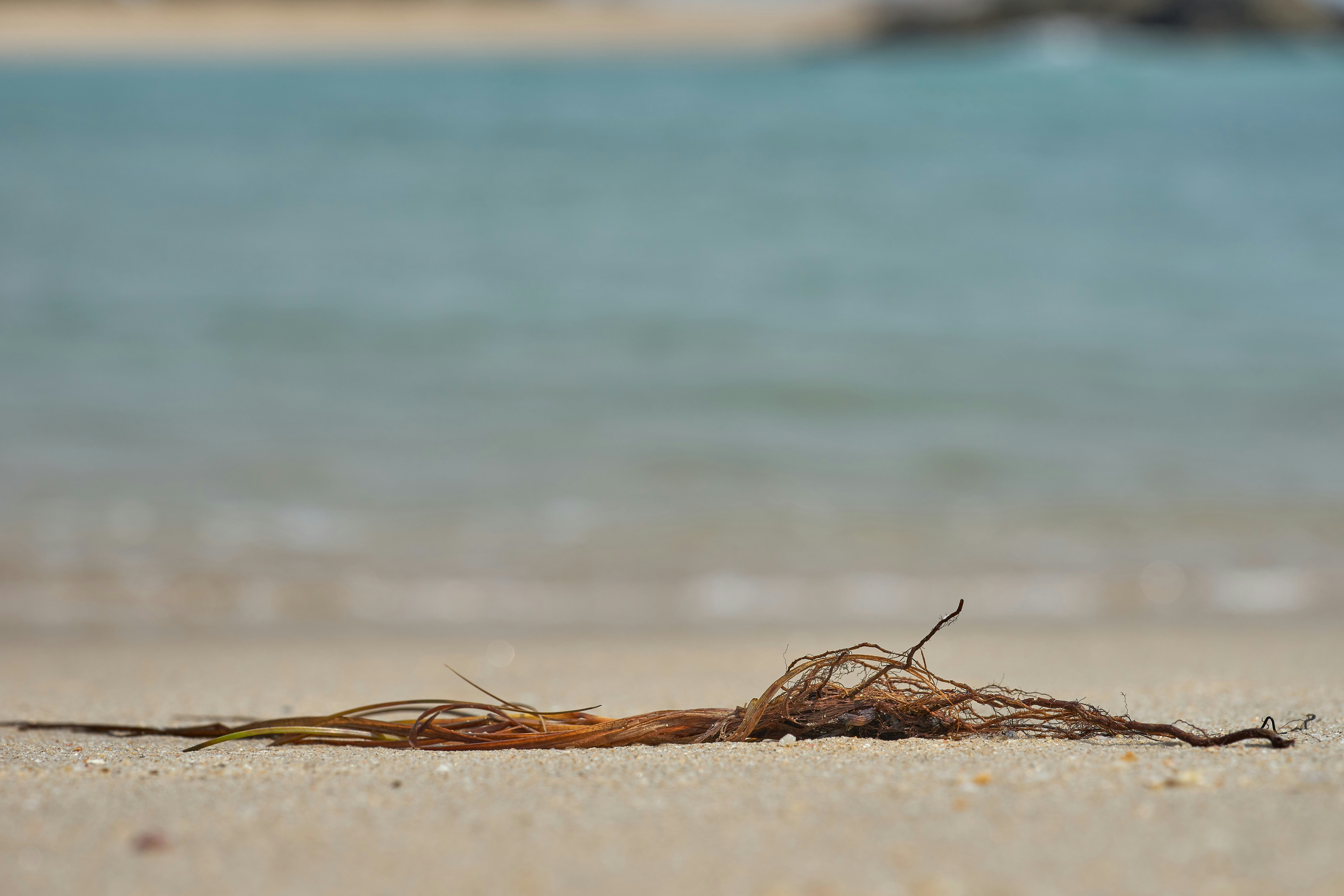 Photo by wolfgang_hasselmann