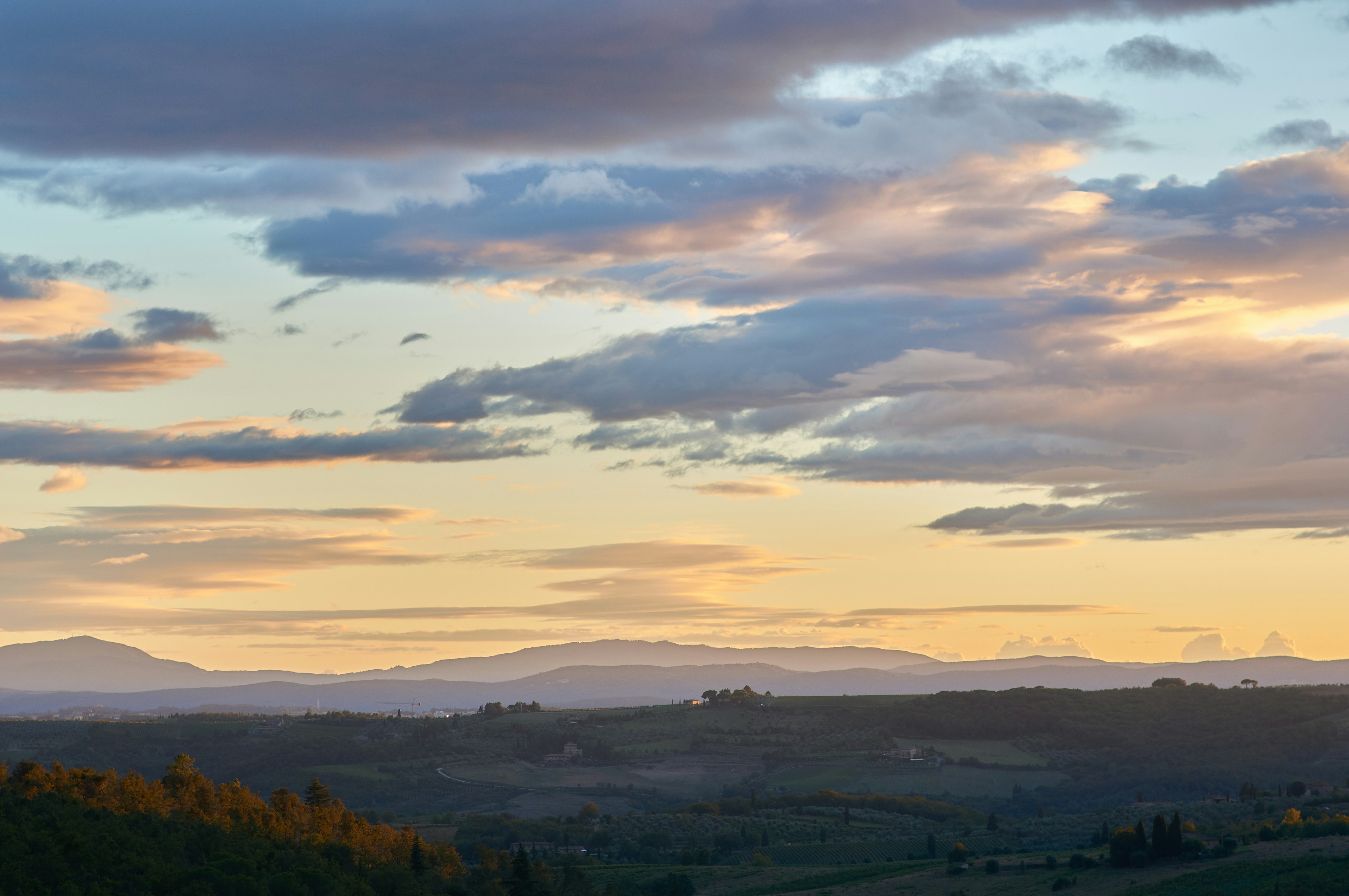 Photo by wolfgang_hasselmann