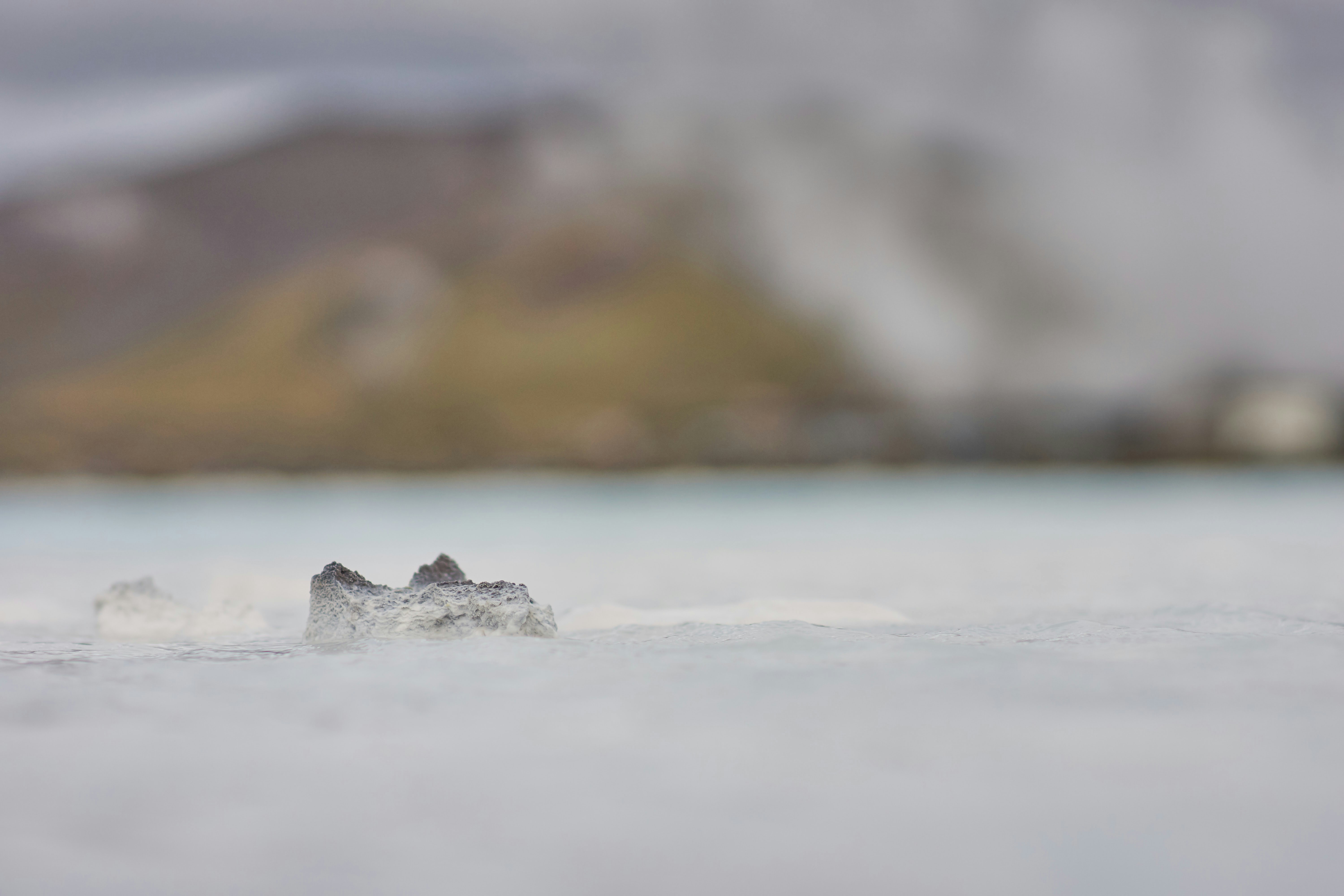 Photo by wolfgang_hasselmann