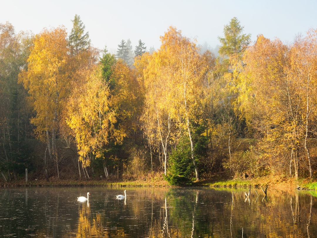 Ecoregion photo spot Trautenfels Gmunden