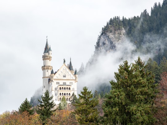 white and gray castle on top of green mountain in Neuschwanstein Castle Germany