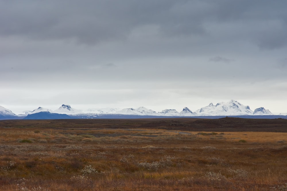 brown grass field under white clouds during daytime