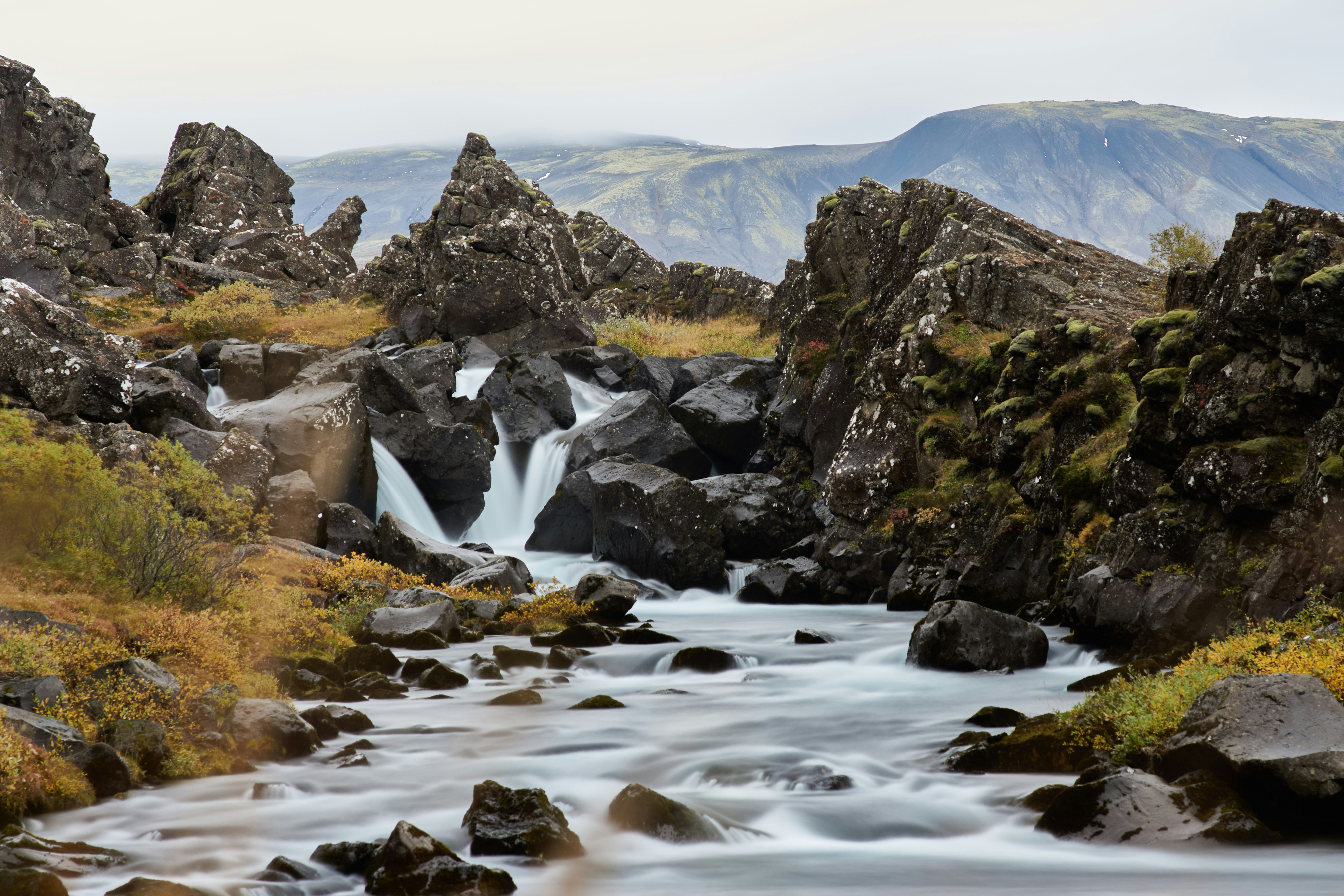 Photo by wolfgang_hasselmann