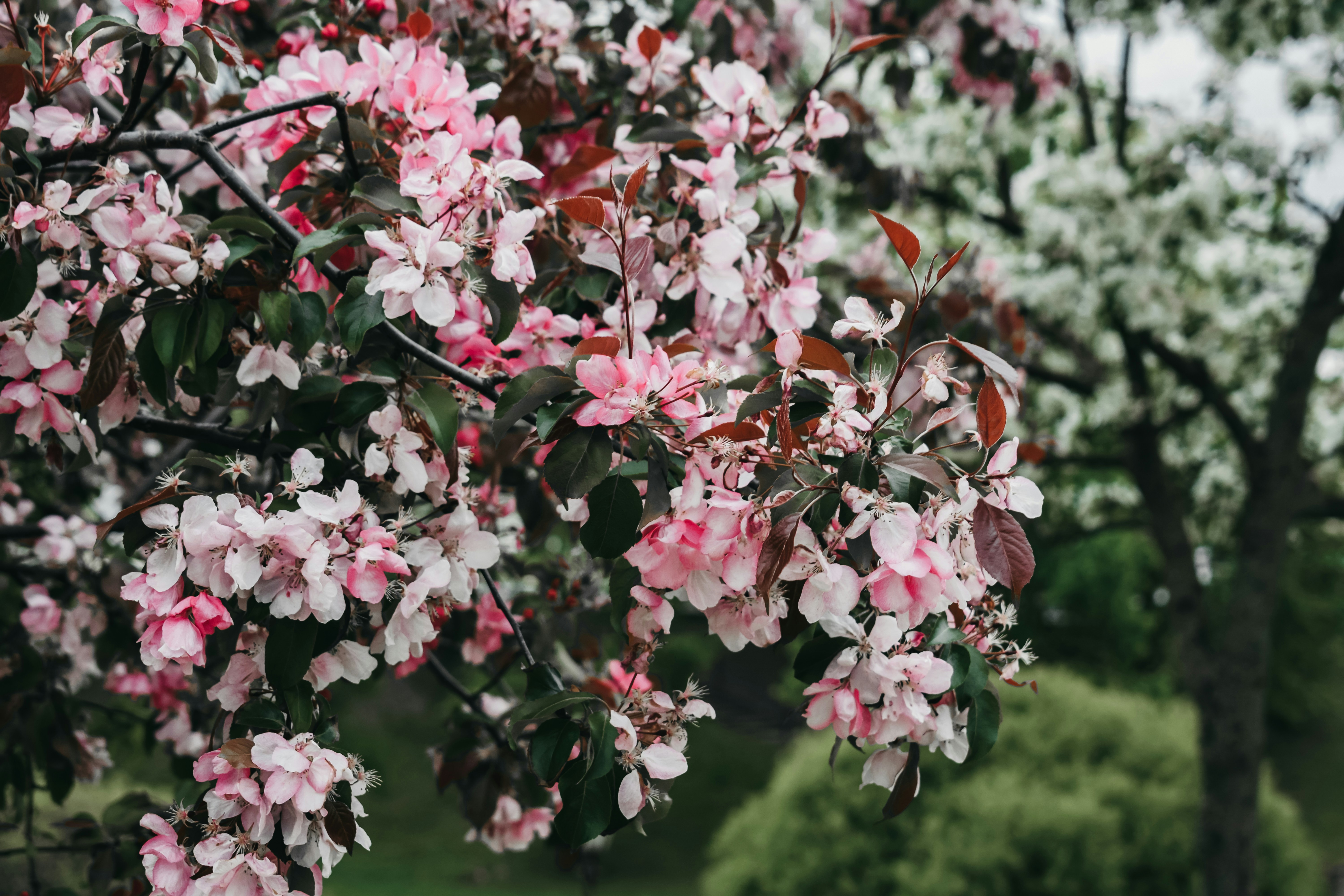 Photo by darya_tryfanava