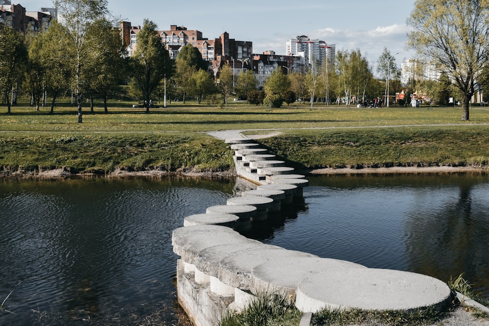 body of water near green grass field and trees during daytime