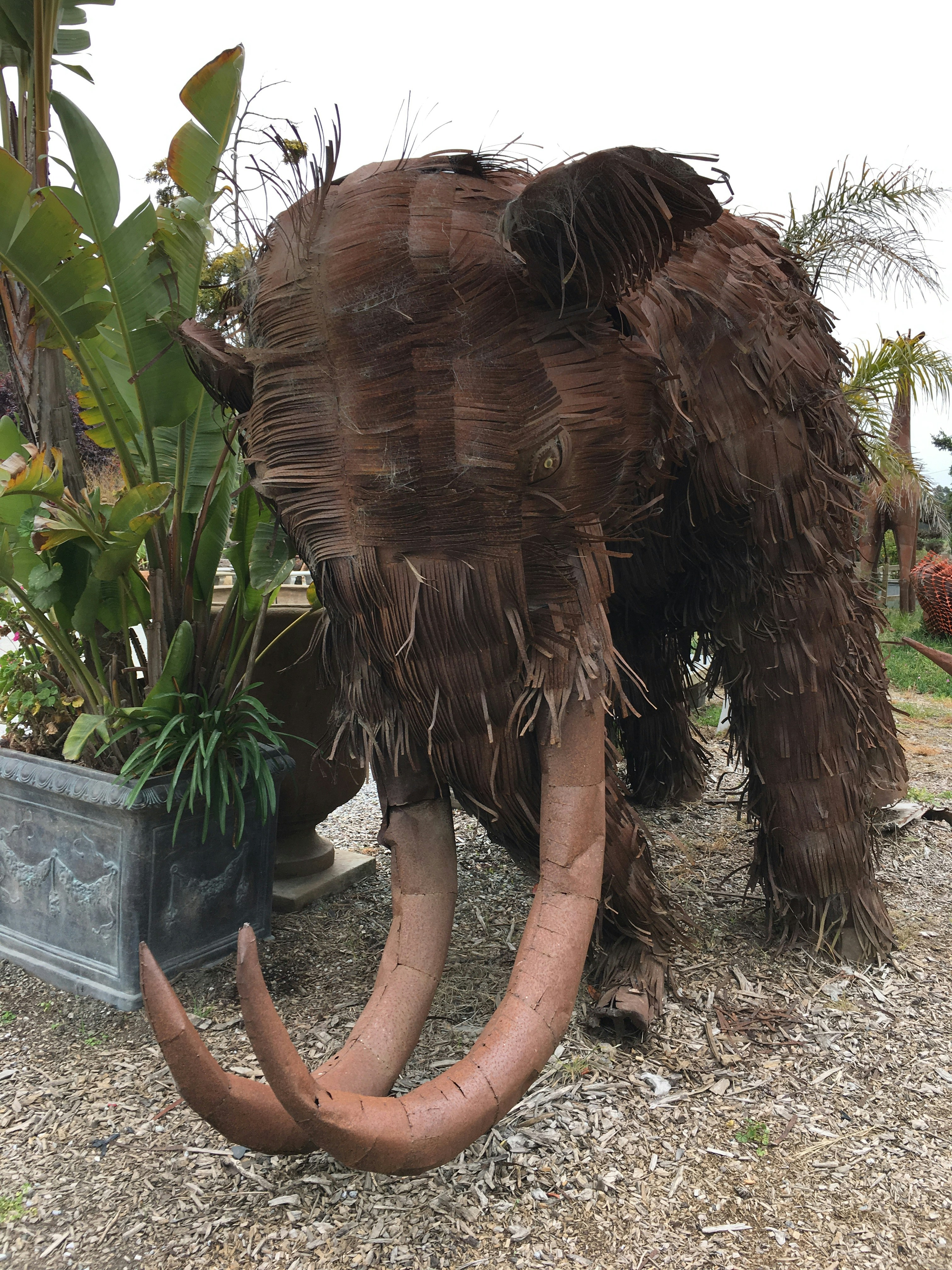 brown wooden statue near green plant