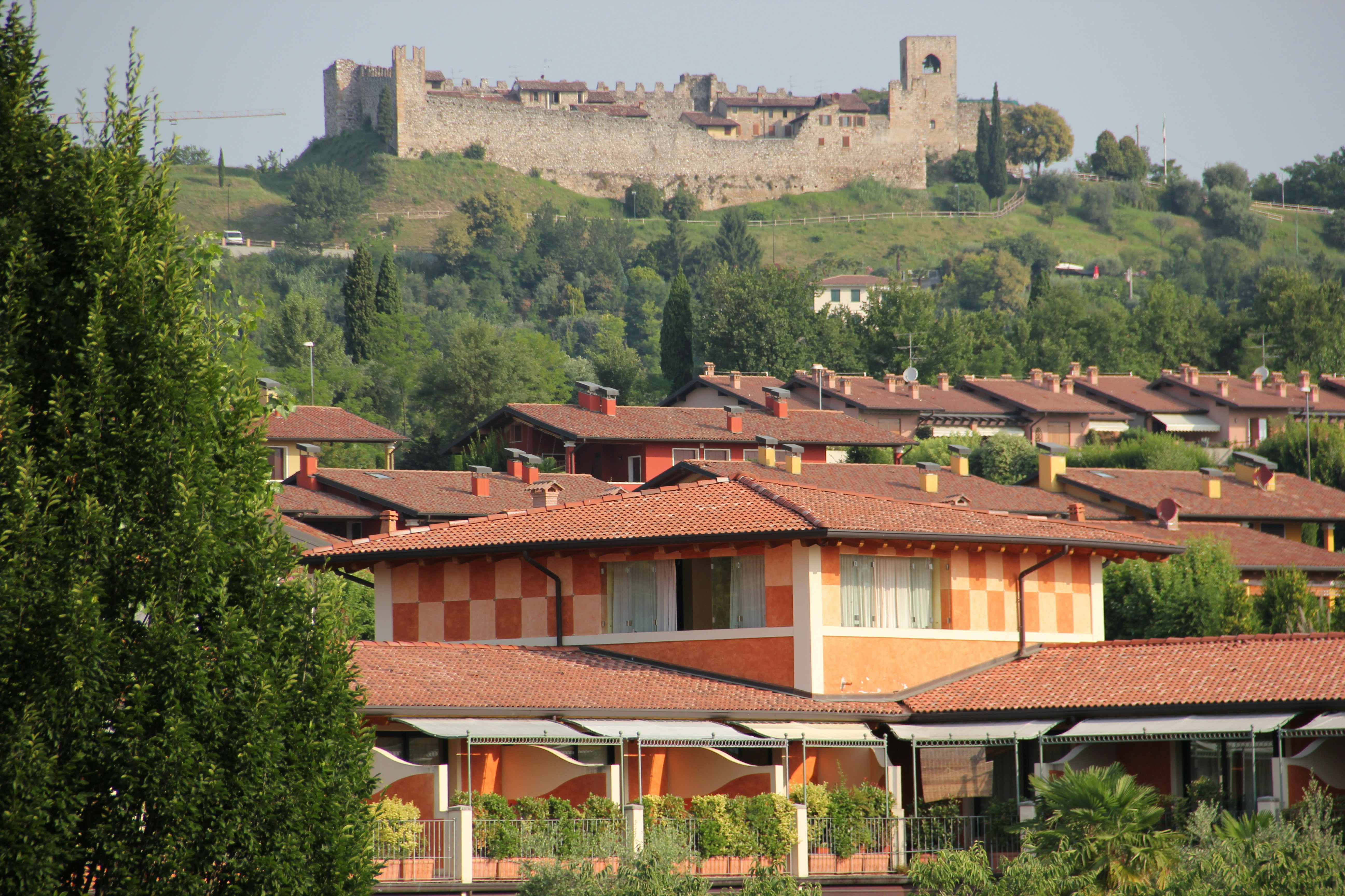 Photo by shalevcohen